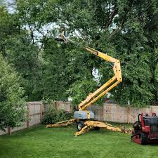 Best Lawn Irrigation Installation and Maintenance  in Farmingdale, NY