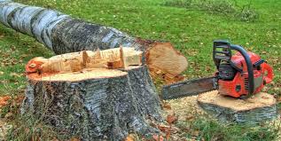 Best Tree Mulching  in Farmingdale, NY