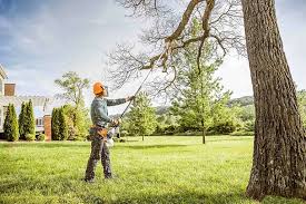 Best Hedge Trimming  in Farmingdale, NY