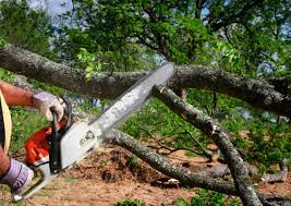 Best Utility Line Clearance  in Farmingdale, NY