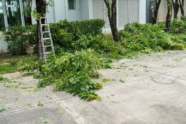Best Tree Health Inspection  in Farmingdale, NY